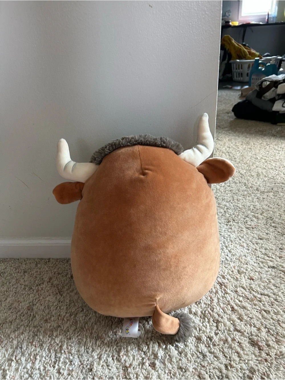Highland cow squish mellow